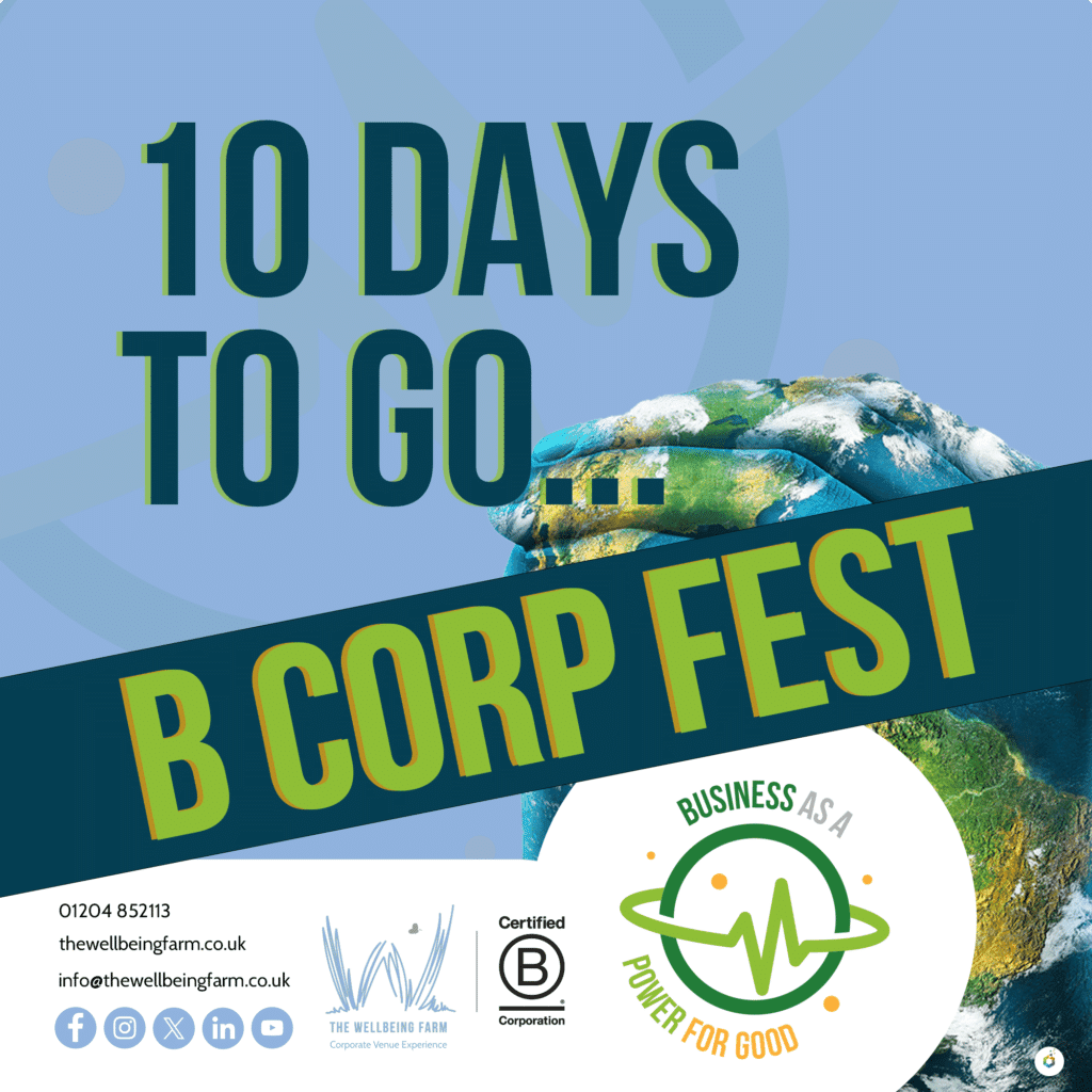 10-days-to-go-bcorp-fest social media graphic design with luminite