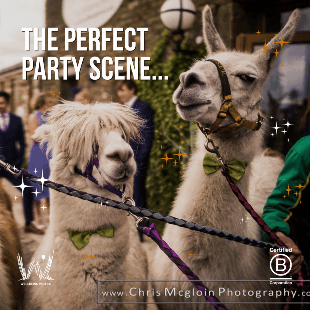 WBF Perfect Party Scene-1 social media graphic design with luminite