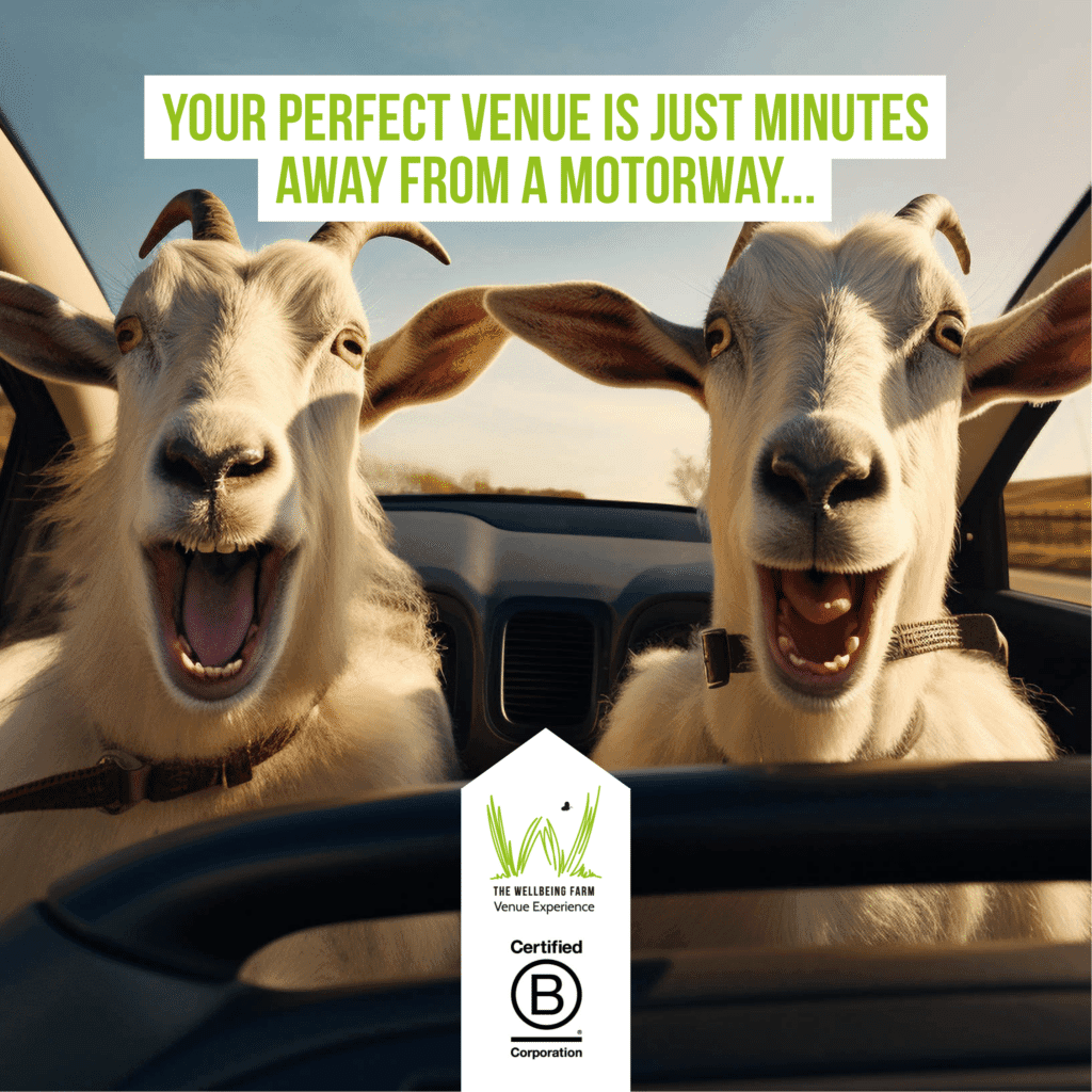 WBF Your perfect venue is just minutes away social media graphic design with luminite