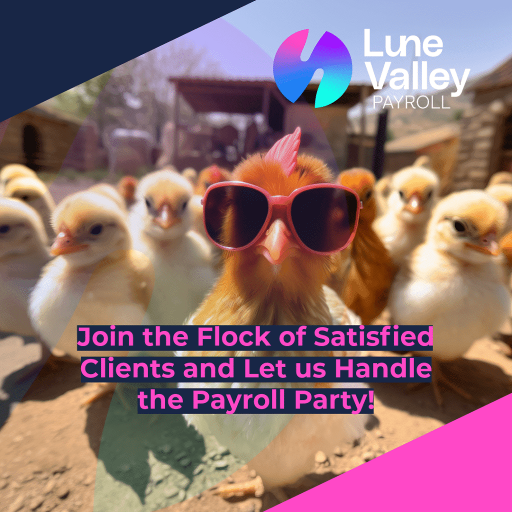 chickens in sunglasses Payroll LVP lune valley payroll social graphic example